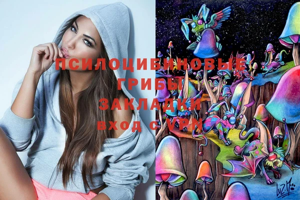 мет Алексеевка